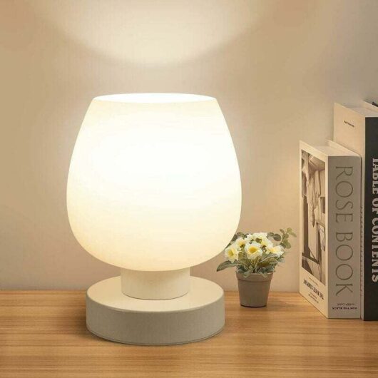 Touch Bedside Table Lamp - Modern Small Lamp for Bedroom, Living Room, Bedside Table, Desk Lamp with White Opal Glass Shade, Warm LED Bulb, 3-Way