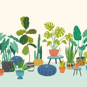 Origin Murals Houseplant Pots Blue Wall Mural - 3 x 2.4m