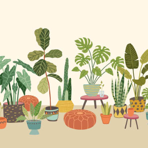 Origin Murals Houseplant Pots Natural Wall Mural - 3.5 x 2.8m