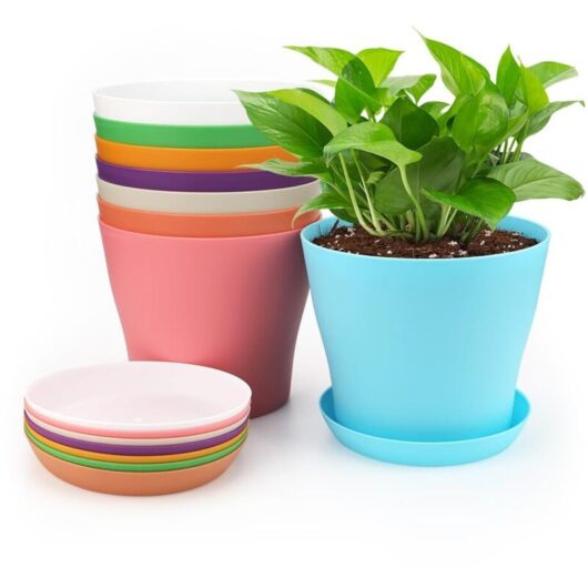 10cm Small Plastic Plant Pots, Indoor Outdoor Planter, Flower Pot with Trays, Suitable for Seedlings, Cactus, Succulents, Orchids, Herbs - 8 Colors