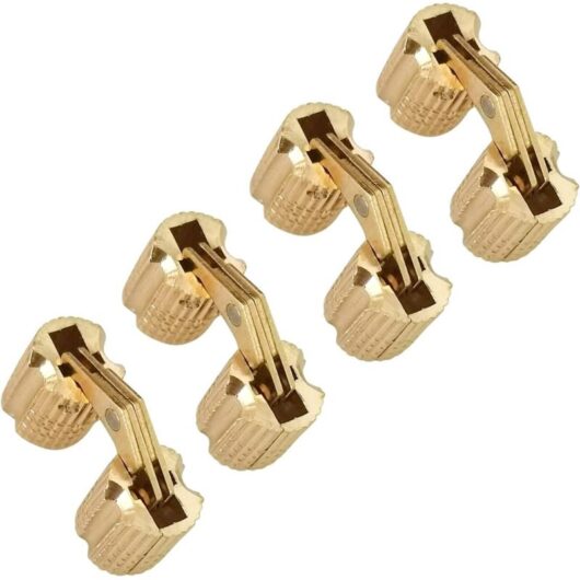 CCYKXA Set of 4 Concealed Brass Invisible Hinges, 10mm Round Invisible Mini Hinges for Wooden Doors