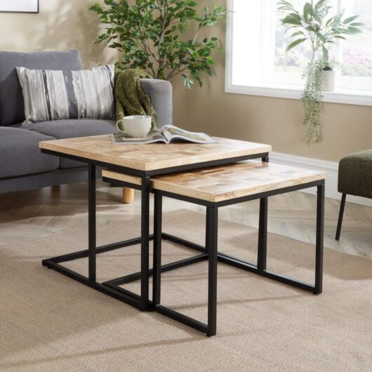 Home Source - Nest 2 Tables Solid Mango Wood Tabletop Iron Frame Home Living Furniture Storage