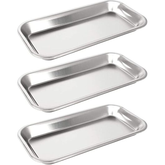Tinor - 3-piece stainless steel tray, small instrument tray, surgical tray for laboratory instruments, dental tools