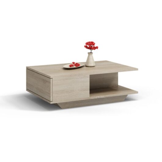 ZEKE Contemporary coffee table 90x60x42 lounge/living room/office + storage niche Modern Scandinavian style table Side table